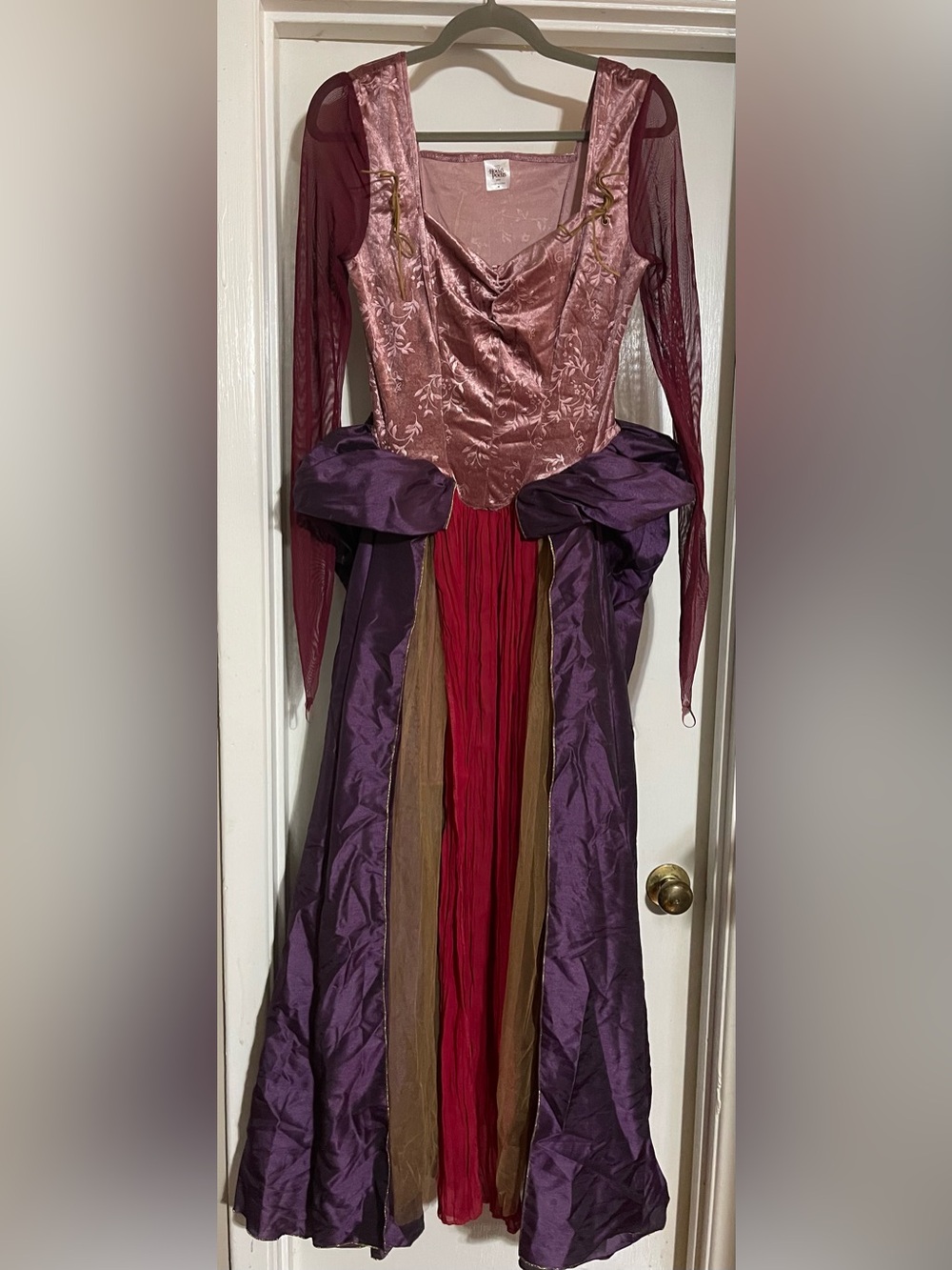 Spirit of Halloween Hocus Pocus Sara Sanderson Size Medium Costume Disney